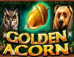 Golden Acorn Free Slots - Keno